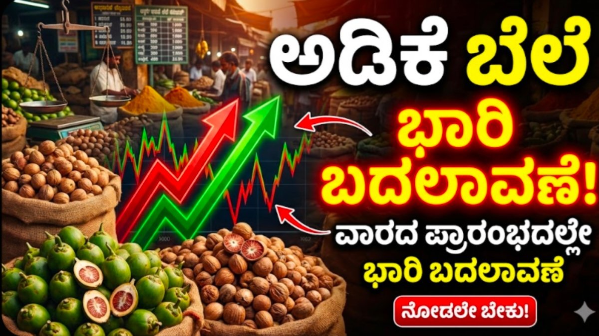 Adike rate market today