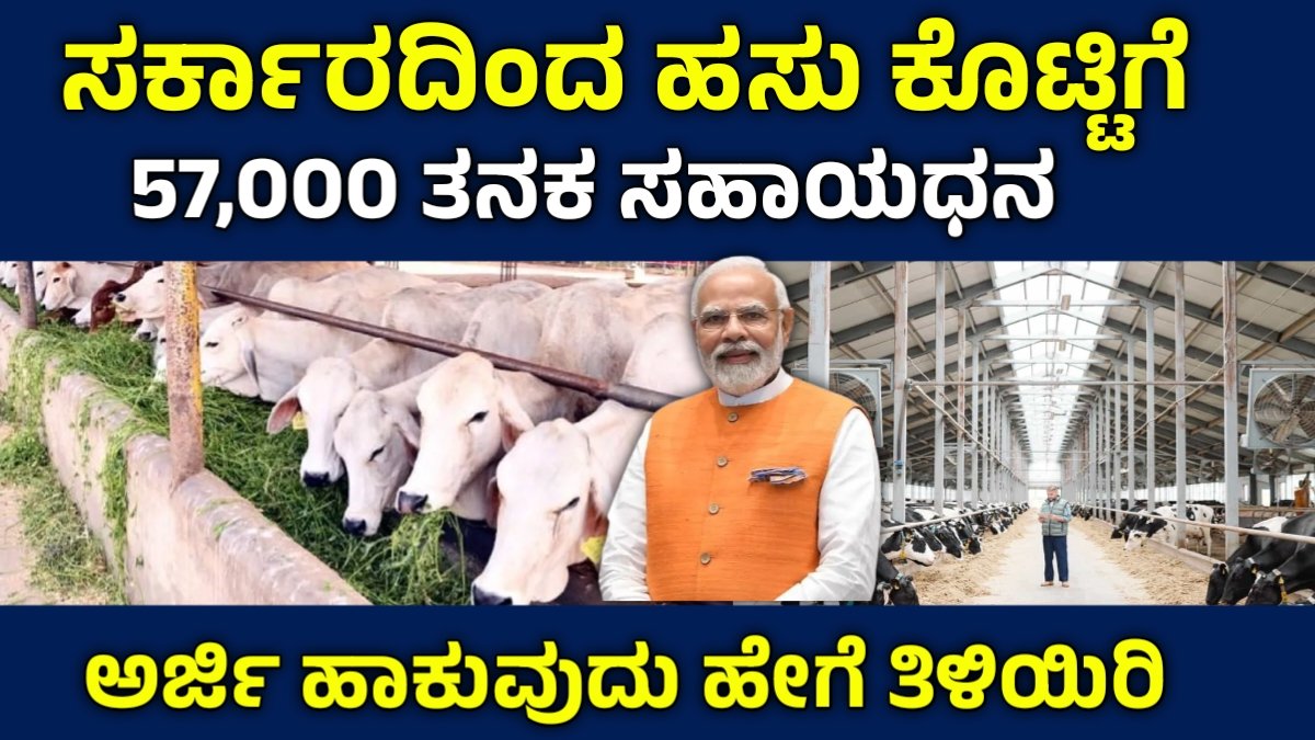 Cow Shed Subsidy