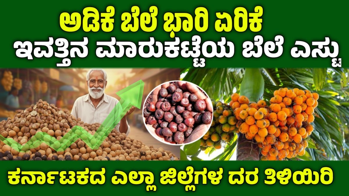 Adike rate increased