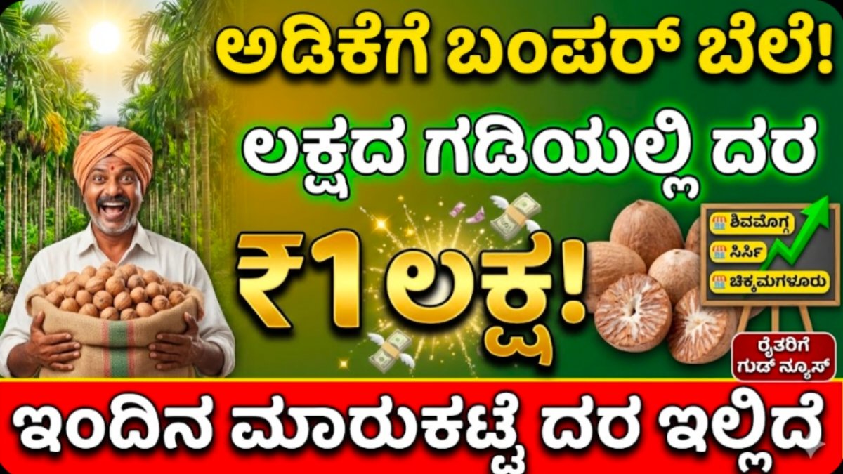 Adike rete today live